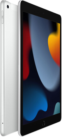 Apple-10-2-iPad-WiFi-Cellular-256-GB-Silber-2021-02.jpg