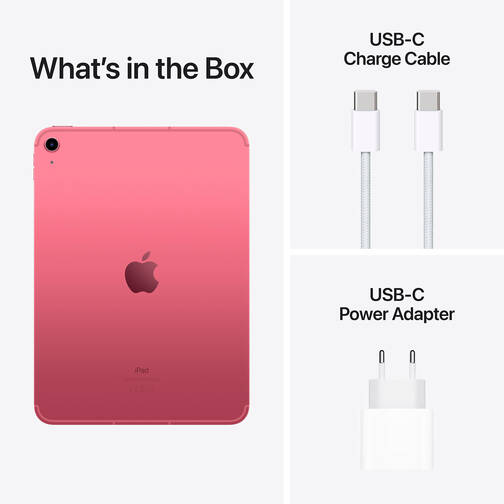 Apple-10-9-iPad-WiFi-Cellular-256-GB-Pink-2022-09.jpg