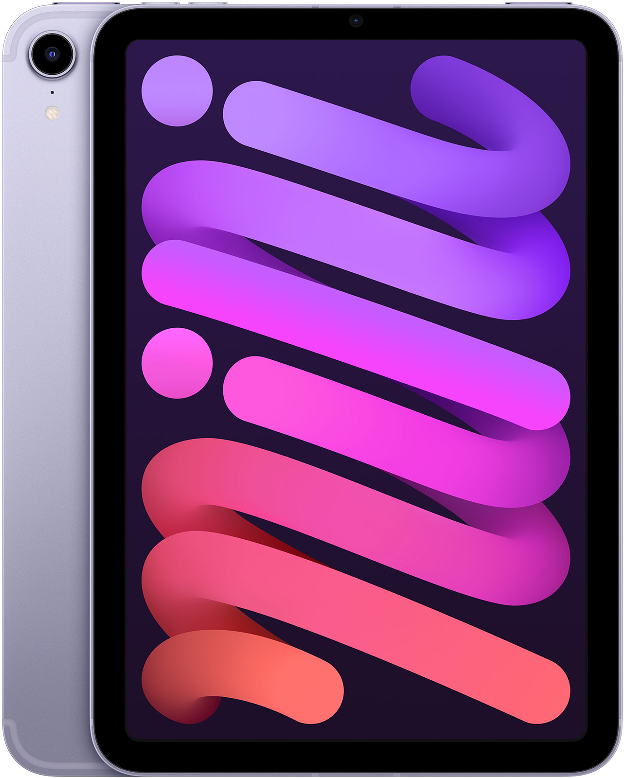 Apple-8-3-iPad-mini-WiFi-Cell-64-GB-Violett-2021-01.jpg