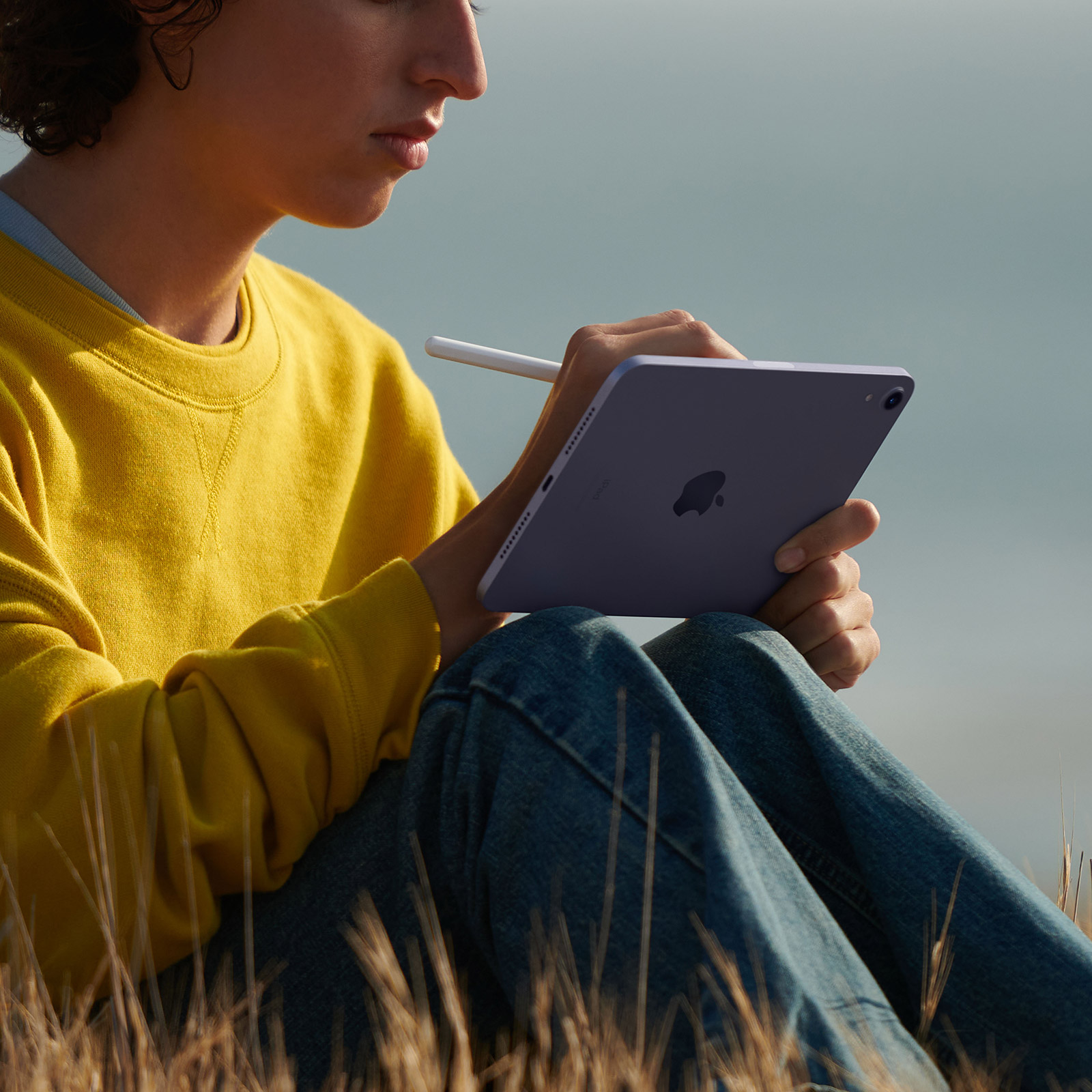 Apple-8-3-iPad-mini-WiFi-Cell-256-GB-Violett-2021-06.jpg